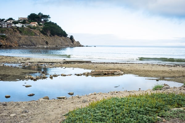 The San Pedro Creeks empties into the Pacific Ocean at Linda Mar Beach in Pacifica, California. Photo credit: Kathryn Wheeler